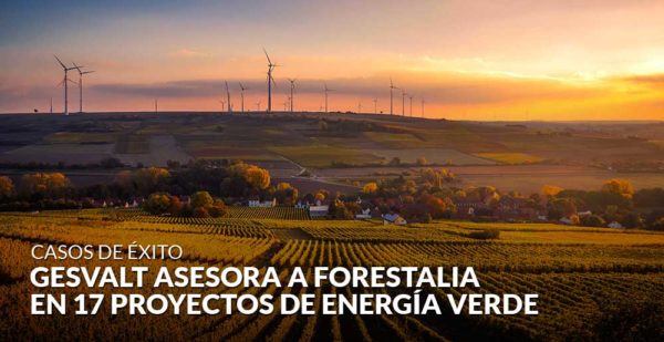 Gesvalt asesora a Forestalia en 17 proyectos de energía verde
