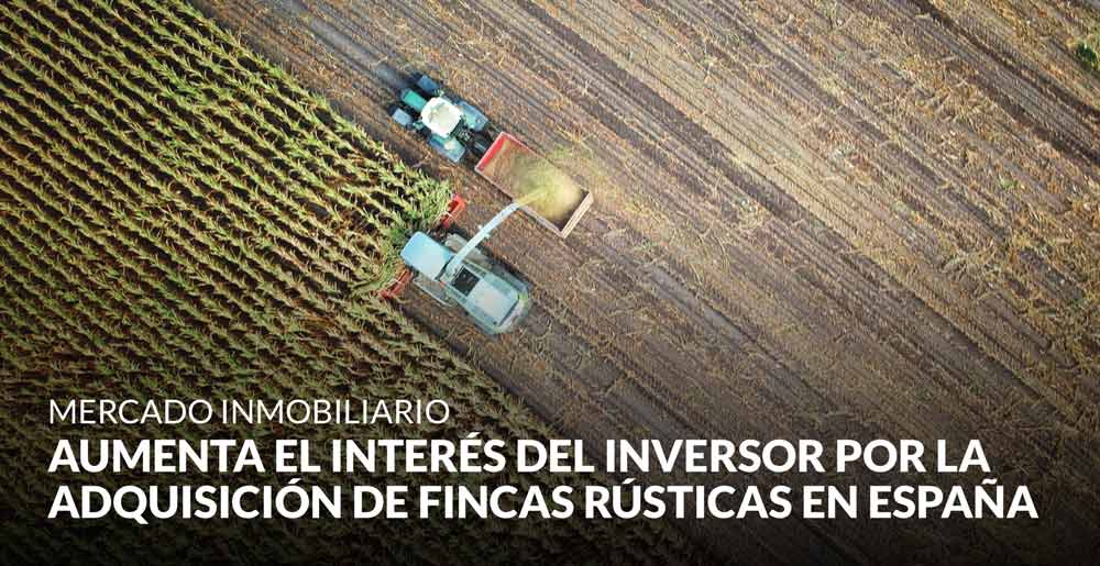 Aumenta el interés del inversor por la adquisición de fincas rústicas en España