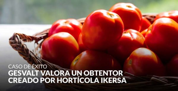 Gesvalt valora un obtentor (mutación genética vegetal) creado por Hortícola Ikersa