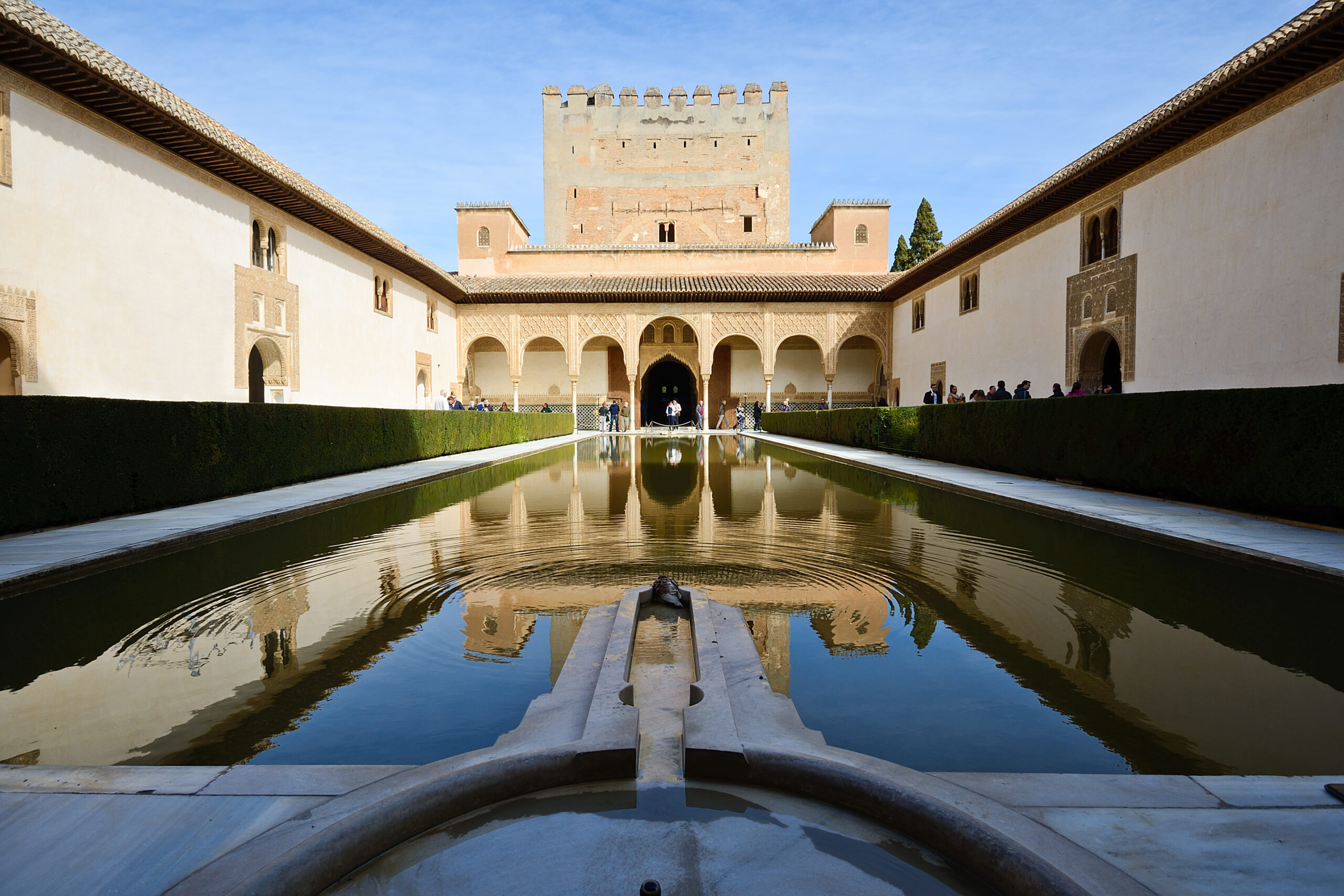 courtyard myrtles alhambra scaled